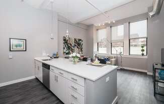 Library Lofts South Loop Chicago  1 Bed - 1 Bath