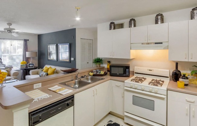 Fully equipped kitchen with microwave, dishwasher, and double basin sink