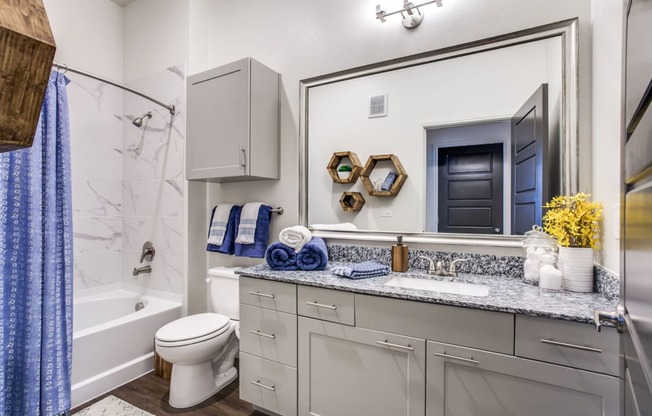 a bathroom with a sink and a toilet and a shower