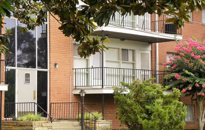 1 bed, 1 bath, 500 sqft, $999