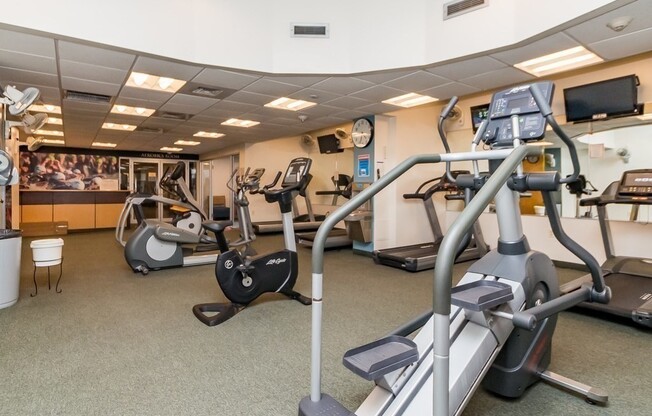 1 bed, 1 bath, 500 sqft, $2,550, Unit 309