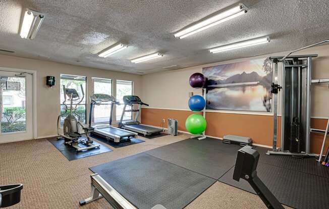 Fitness Center at Bardin Oaks, Texas