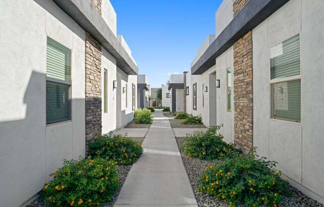 an empty walkway between two apartment buildings with flowering plants