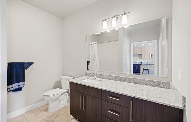 a bathroom with a large mirror and a toilet