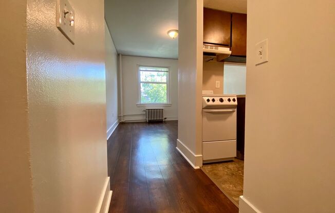 1 bed, 1 bath, 351 sqft, $1,350, Unit 506