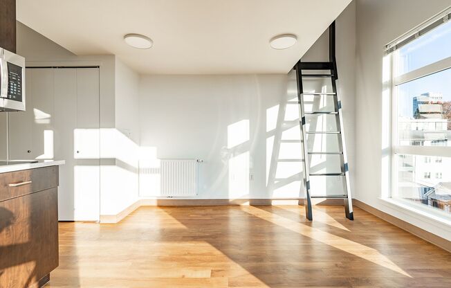 Studio, 1 bath, 375 sqft, $1,495, Unit 511
