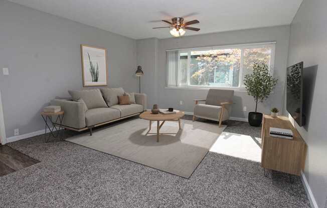 The Canopy | Living Room