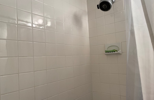 Studio, 1 bath, $2,600, Unit 14L