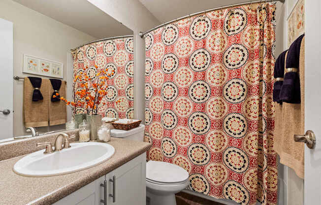 A bathroom with a patterned shower curtain and a white toilet.