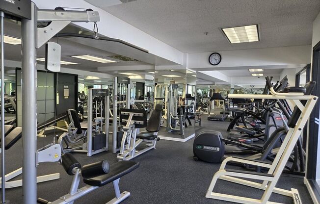 1 bed, 1 bath, $2,595, Unit Unit 502