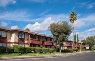 TAW - Tara Woods Gardens