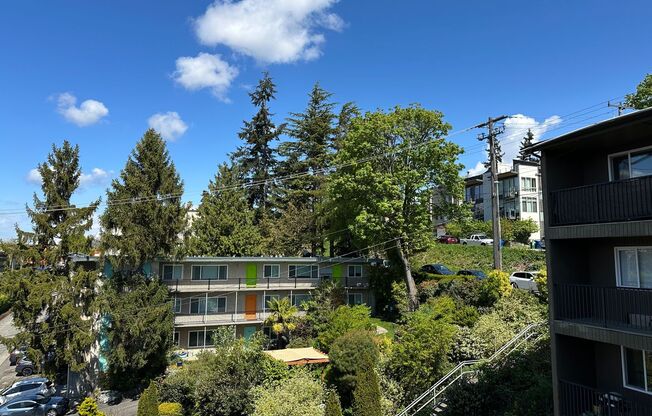 1 bed, 1 bath, 750 sqft, $1,495, Unit 406