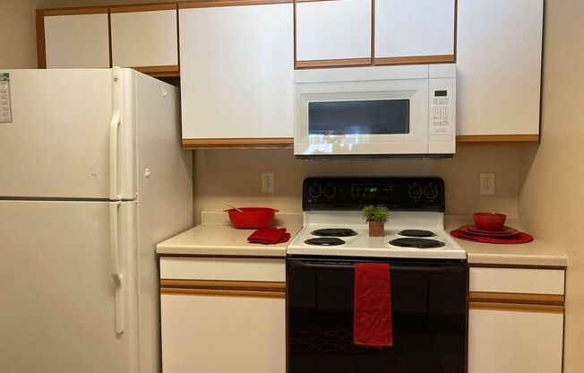 1 bed, 1 bath, 720 sqft, $1,100