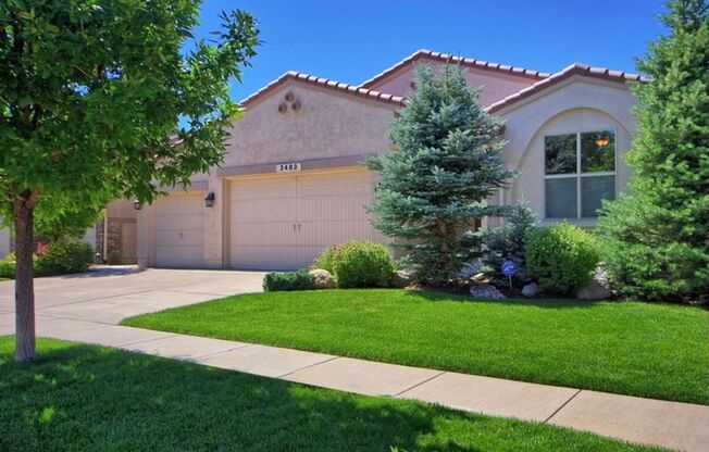 Spacious Ranch Style in Flying Horse with INCREDIBLE VIEWS of Pikes Peak!