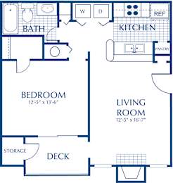 1 bed, 1 bath, $1,294
