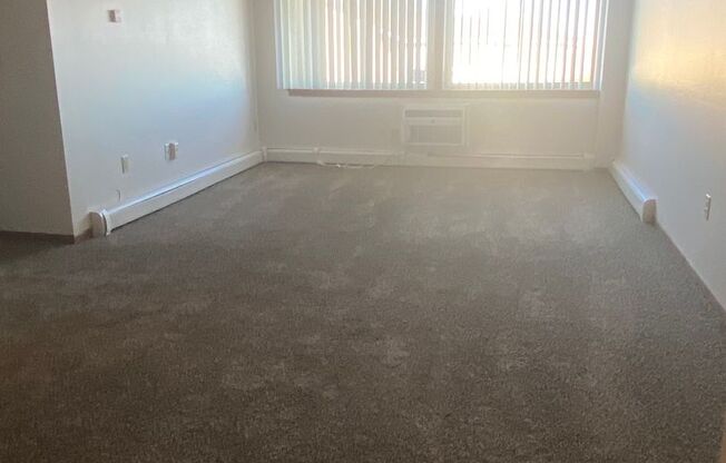2 beds, 1 bath, 951 sqft, $1,299, Unit 5166 C08