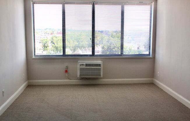 Studio, 1 bath, 405 sqft, $1,700, Unit 0809