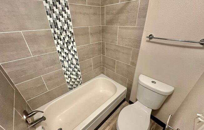 Studio, 1 bath, 365 sqft, $1,025