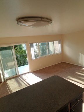 Studio, 1 bath, 300 sqft, $1,295, Unit 201