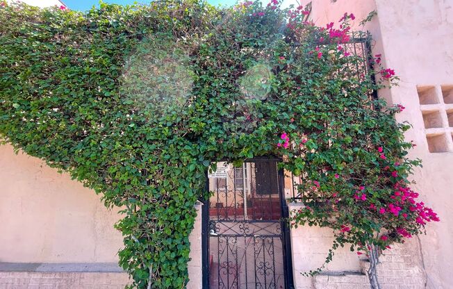 5351  Louis Place LLC