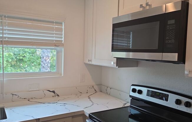 Studio, 1 bath, 310 sqft, $1,750, Unit A-216- 40