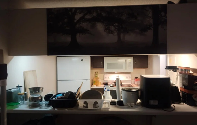 9523 UNIVERSITY TERRACE DR