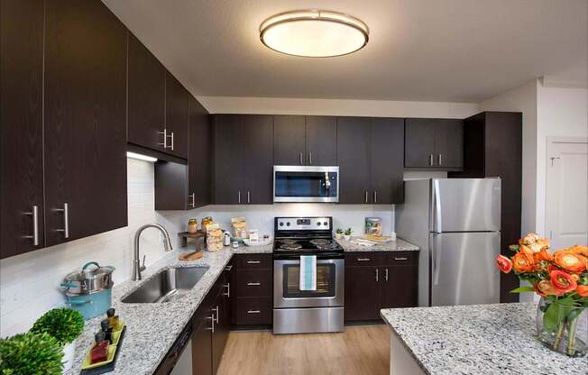 A modern kitchen with dark brown cabinets and stainless steel appliances.