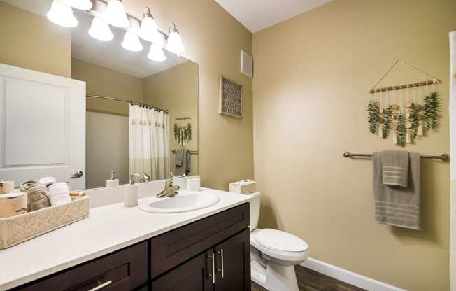 a bathroom with a sink and a toilet and a mirror