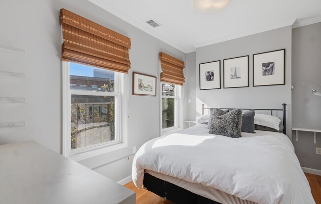 1 bed, 1 bath, 726 sqft, $2,900, Unit 3