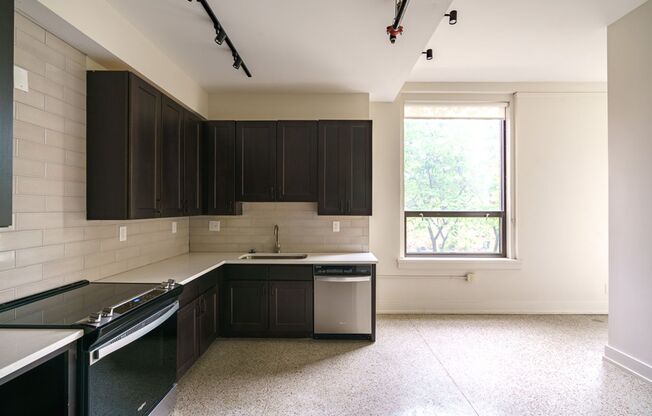 1 bed, 1 bath, $1,125, Unit 875 Michigan Ave Apt. 308