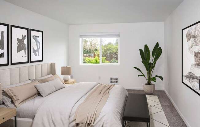 A large bedroom with a potted plant and a large window at our Renton Apartments
