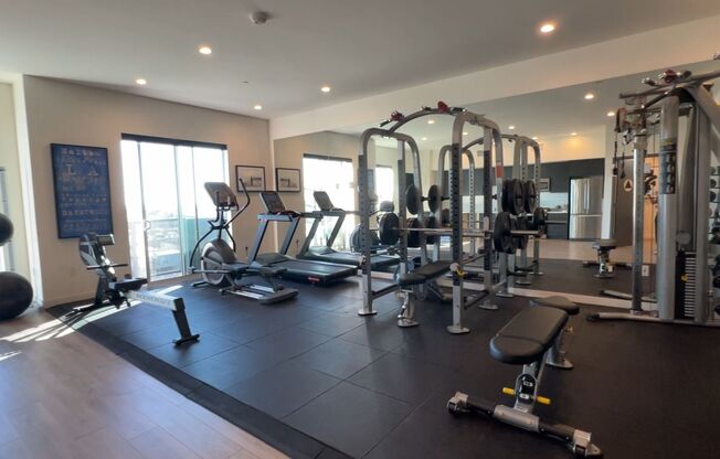 1 bed, 1 bath, 621 sqft, $3,250, Unit 206