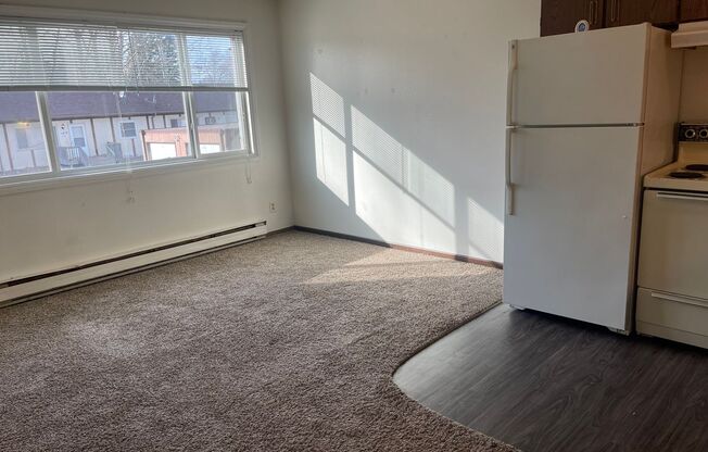 Studio, 1 bath, 325 sqft, $525, Unit 1929-17