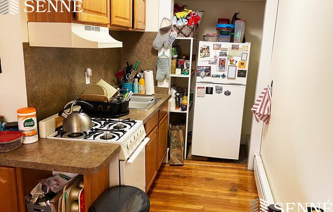 16 EVERGREEN SQ