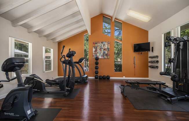 a home gym with exercise machines and a tv on the wall