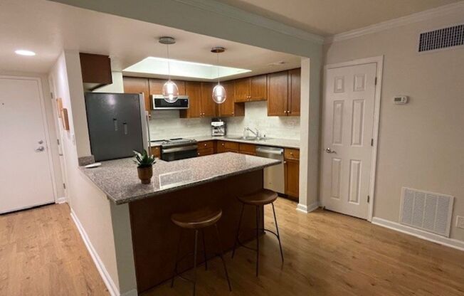 1 Bedroom 1 Bathroom Downtown Unit with Parking