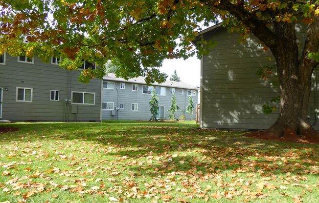 2 beds, 1 bath, 806 sqft, $1,549, Unit 36