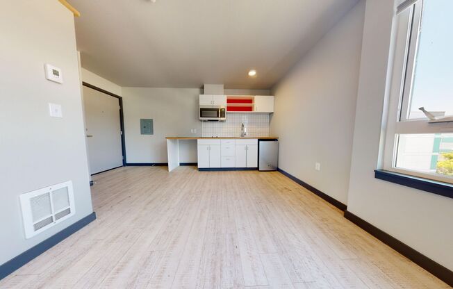 Studio, 1 bath, 258 sqft, $1,250, Unit 402