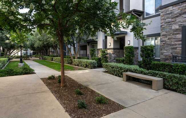 A tree in a landscaped area in front of a building.