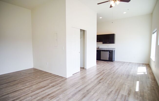 Studio, 1 bath, 460 sqft, $1,295, Unit 5625-302