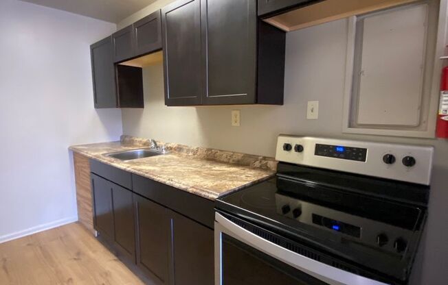 1 bed, 1 bath, $1,060, Unit Apt 1