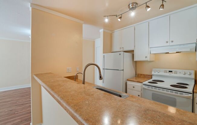 1 bed, 1 bath, $2,250, Unit 106