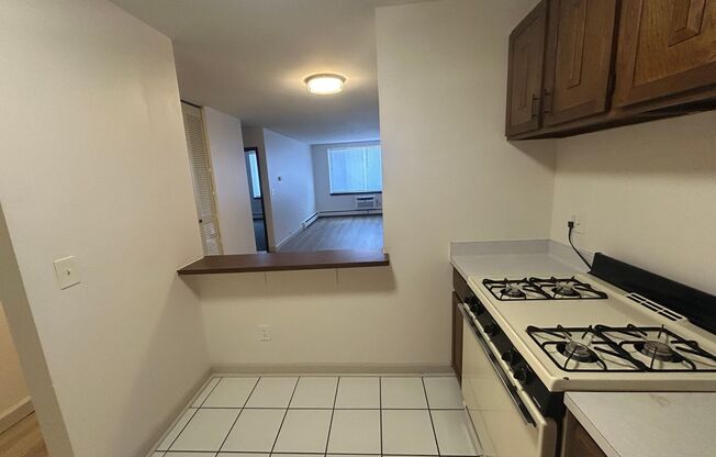 1 bed, 1 bath, $1,145, Unit 308