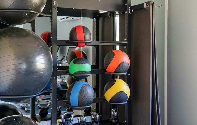 A black and silver exercise ball sits on the floor next to a black and silver weight rack.