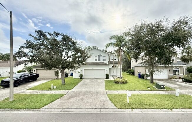 1647 GRAY BARK