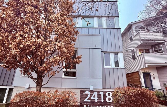 Cozy & Modern Studios Located in the Heart of Ballard