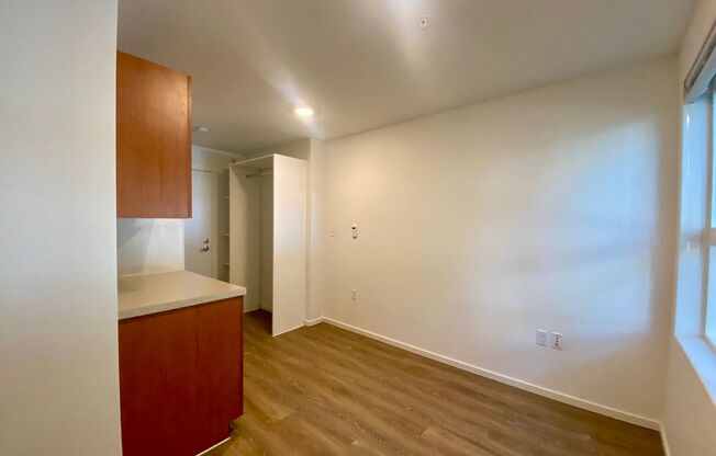 Studio, 1 bath, 176 sqft, $1,225, Unit 4210