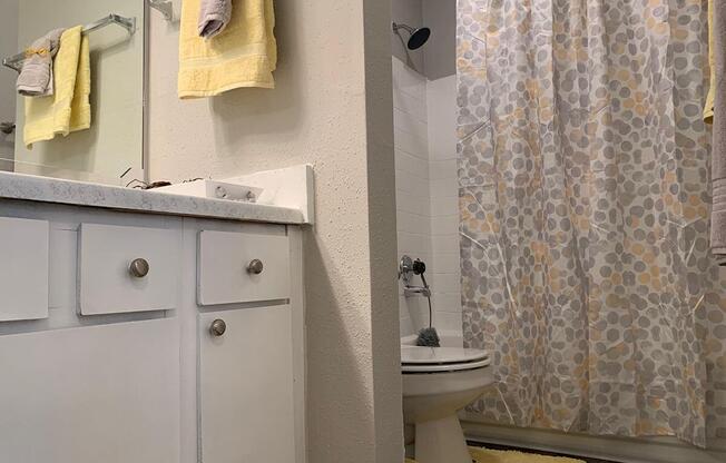 a shower curtain next to a sink