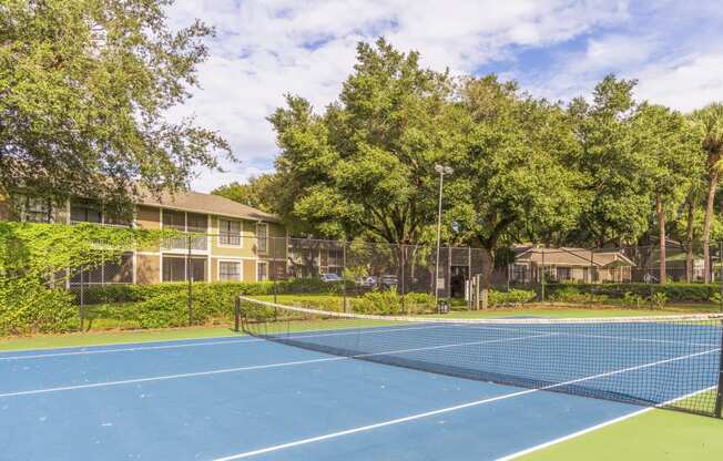 Tennis Court at Laurel Oaks Apartments in Tampa, FL