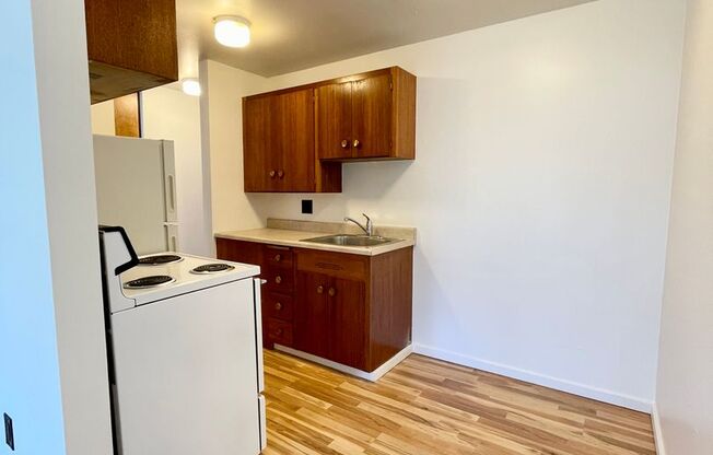 Studio, 1 bath, 464 sqft, $1,425, Unit 205